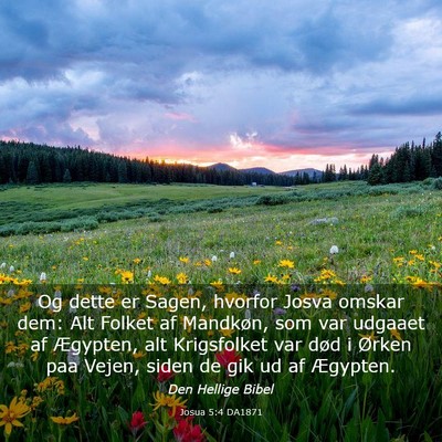Picture 03 - Josua 5:4 DA1871 - Og dette er Sagen, hvorfor Josva omskar dem: Alt - Bible Verse Picture