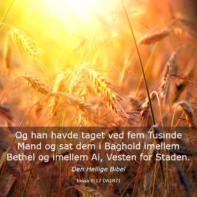 Picture 03 - Josua 8:12 DA1871 - Og han havde taget ved fem Tusinde Mand og sat - Bible Verse Picture