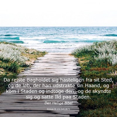 Picture 03 - Josua 8:19 DA1871 - Da rejste Bagholdet sig hasteligen fra sit Sted, - Bible Verse Picture