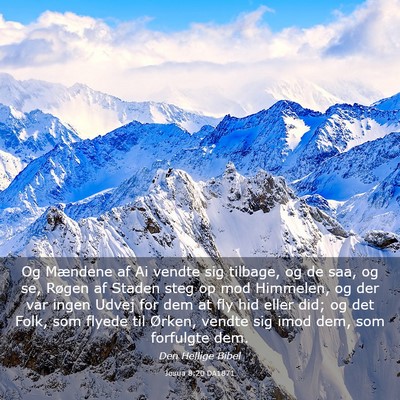 Picture 03 - Josua 8:20 DA1871 - Og Mændene af Ai vendte sig tilbage, og de saa, - Bible Verse Picture