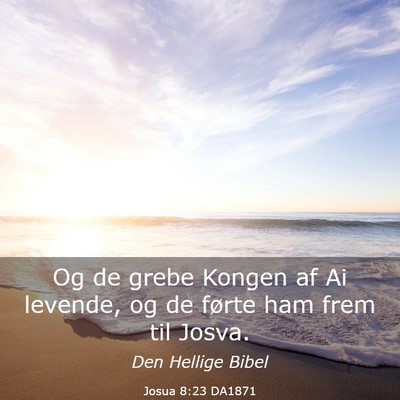 Picture 03 - Josua 8:23 DA1871 - Og de grebe Kongen af Ai levende, og de førte - Bible Verse Picture