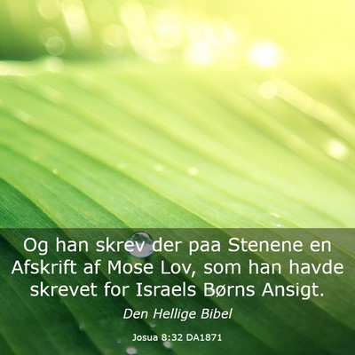 Picture 03 - Josua 8:32 DA1871 - Og han skrev der paa Stenene en Afskrift af Mose - Bible Verse Picture