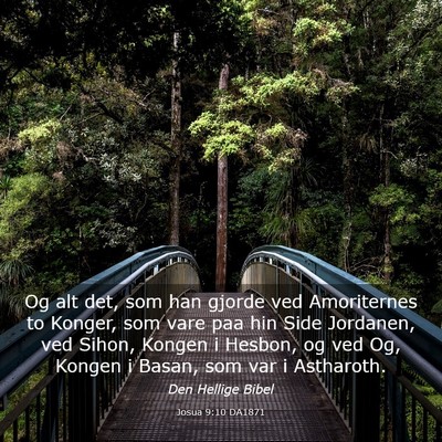 Picture 03 - Josua 9:10 DA1871 - Og alt det, som han gjorde ved Amoriternes to - Bible Verse Picture