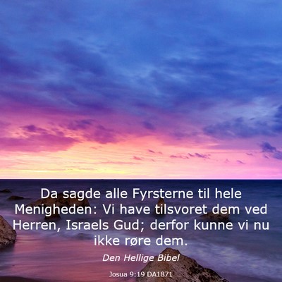 Picture 03 - Josua 9:19 DA1871 - Da sagde alle Fyrsterne til hele Menigheden: Vi - Bible Verse Picture