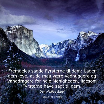 Picture 03 - Josua 9:21 DA1871 - Fremdeles sagde Fyrsterne til dem: Lader dem - Bible Verse Picture