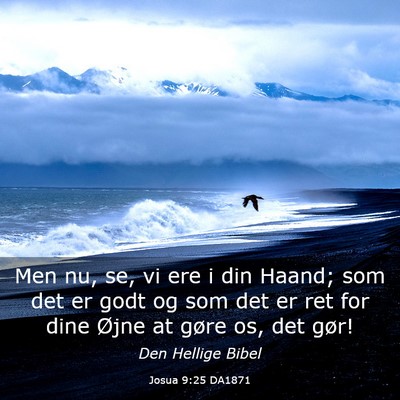 Picture 03 - Josua 9:25 DA1871 - Men nu, se, vi ere i din Haand; som det er godt - Bible Verse Picture