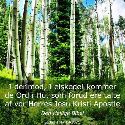 Picture 03 - Judas 1:17 DA1871 - I derimod, I elskede! kommer de Ord i Hu, som - Bible Verse Picture