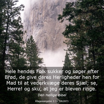 Picture 03 - Klagesangene 1:11 DA1871 - Hele hendes Folk sukker og søger efter Brød, de - Bible Verse Picture
