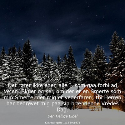Picture 03 - Klagesangene 1:12 DA1871 - Det rører ikke eder, alle I, som gaa forbi ad - Bible Verse Picture