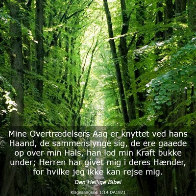 Picture 03 - Klagesangene 1:14 DA1871 - Mine Overtrædelsers Aag er knyttet ved hans - Bible Verse Picture