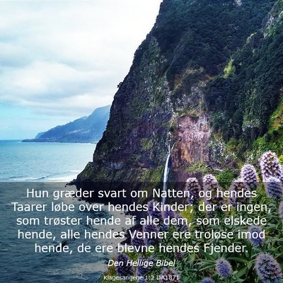 Picture 03 - Klagesangene 1:2 DA1871 - Hun græder svart om Natten, og hendes Taarer - Bible Verse Picture