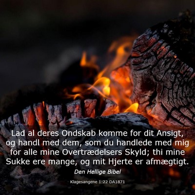Picture 03 - Klagesangene 1:22 DA1871 - Lad al deres Ondskab komme for dit Ansigt, og - Bible Verse Picture