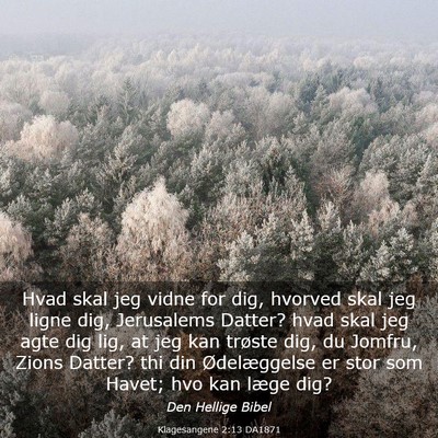Picture 03 - Klagesangene 2:13 DA1871 - Hvad skal jeg vidne for dig, hvorved skal jeg - Bible Verse Picture