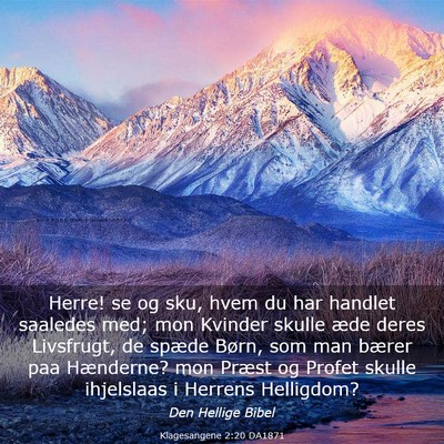 Picture 03 - Klagesangene 2:20 DA1871 - Herre! se og sku, hvem du har handlet saaledes - Bible Verse Picture