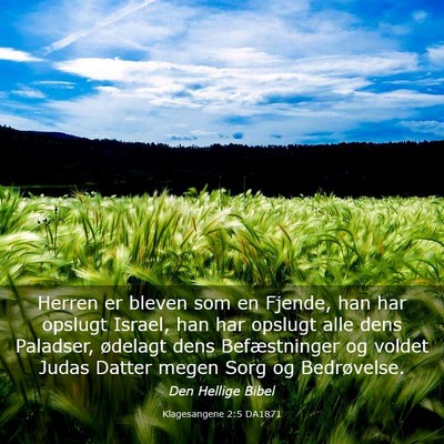 Picture 03 - Klagesangene 2:5 DA1871 - Herren er bleven som en Fjende, han har opslugt - Bible Verse Picture