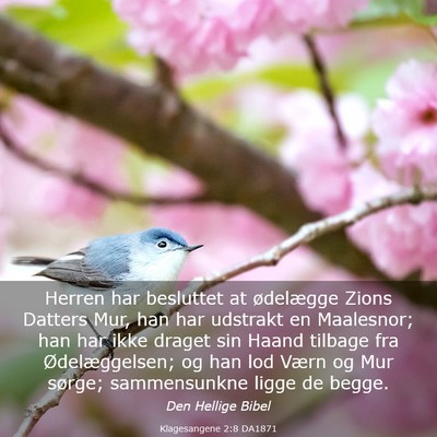 Picture 03 - Klagesangene 2:8 DA1871 - Herren har besluttet at ødelægge Zions Datters - Bible Verse Picture