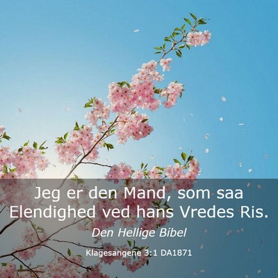 Picture 03 - Klagesangene 3:1 DA1871 - Jeg er den Mand, som saa Elendighed ved hans - Bible Verse Picture