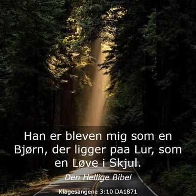 Picture 03 - Klagesangene 3:10 DA1871 - Han er bleven mig som en Bjørn, der ligger paa - Bible Verse Picture