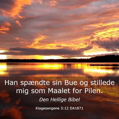Picture 03 - Klagesangene 3:12 DA1871 - Han spændte sin Bue og stillede mig som Maalet - Bible Verse Picture