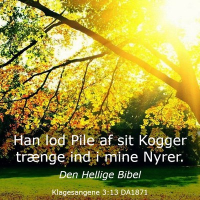 Picture 03 - Klagesangene 3:13 DA1871 - Han lod Pile af sit Kogger trænge ind i mine - Bible Verse Picture