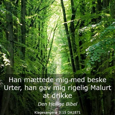 Picture 03 - Klagesangene 3:15 DA1871 - Han mættede mig med beske Urter, han gav mig - Bible Verse Picture