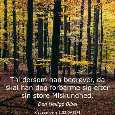 Picture 03 - Klagesangene 3:32 DA1871 - Thi dersom han bedrøver, da skal han dog - Bible Verse Picture