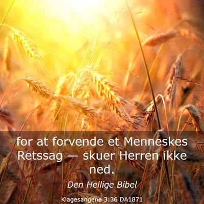 Picture 03 - Klagesangene 3:36 DA1871 - for at forvende et Menneskes Retssag — skuer - Bible Verse Picture