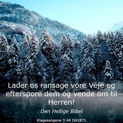 Picture 03 - Klagesangene 3:40 DA1871 - Lader os ransage vore Veje og efterspore dem og - Bible Verse Picture