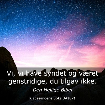 Picture 03 - Klagesangene 3:42 DA1871 - Vi, vi have syndet og været genstridige, du - Bible Verse Picture