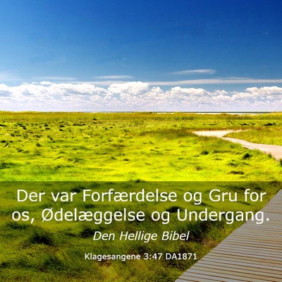 Picture 03 - Klagesangene 3:47 DA1871 - Der var Forfærdelse og Gru for os, Ødelæggelse - Bible Verse Picture