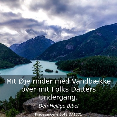 Picture 03 - Klagesangene 3:48 DA1871 - Mit Øje rinder med Vandbække over mit Folks - Bible Verse Picture