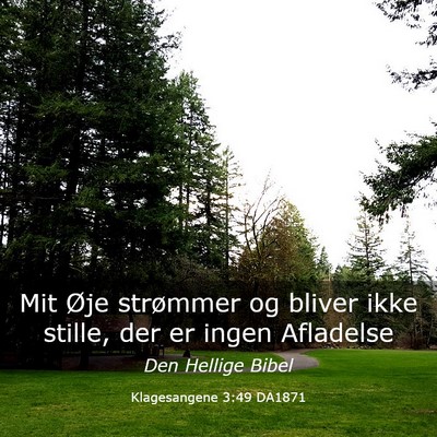 Picture 03 - Klagesangene 3:49 DA1871 - Mit Øje strømmer og bliver ikke stille, der er - Bible Verse Picture