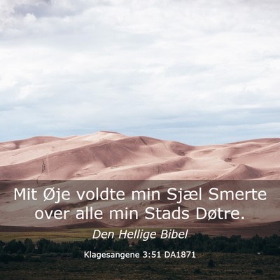 Picture 03 - Klagesangene 3:51 DA1871 - Mit Øje voldte min Sjæl Smerte over alle min - Bible Verse Picture