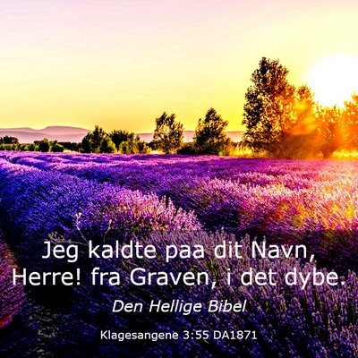 Picture 03 - Klagesangene 3:55 DA1871 - Jeg kaldte paa dit Navn, Herre! fra Graven, i det - Bible Verse Picture