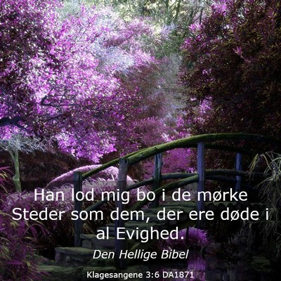 Picture 03 - Klagesangene 3:6 DA1871 - Han lod mig bo i de mørke Steder som dem, der - Bible Verse Picture