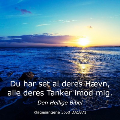 Picture 03 - Klagesangene 3:60 DA1871 - Du har set al deres Hævn, alle deres Tanker imod - Bible Verse Picture