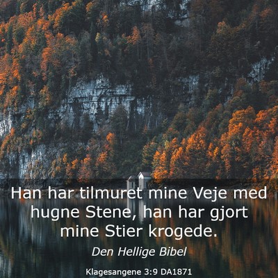 Picture 03 - Klagesangene 3:9 DA1871 - Han har tilmuret mine Veje med hugne Stene, han - Bible Verse Picture