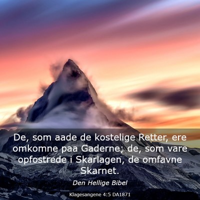 Picture 03 - Klagesangene 4:5 DA1871 - De, som aade de kostelige Retter, ere omkomne paa - Bible Verse Picture