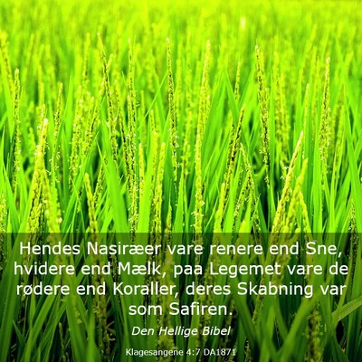 Picture 03 - Klagesangene 4:7 DA1871 - Hendes Nasiræer vare renere end Sne, hvidere end - Bible Verse Picture