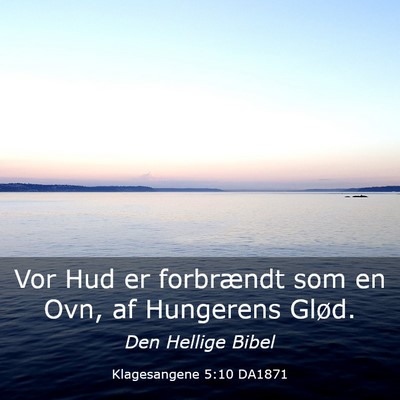 Picture 03 - Klagesangene 5:10 DA1871 - Vor Hud er forbrændt som en Ovn, af Hungerens - Bible Verse Picture