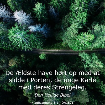 Picture 03 - Klagesangene 5:14 DA1871 - De Ældste have hørt op med at sidde i Porten, - Bible Verse Picture