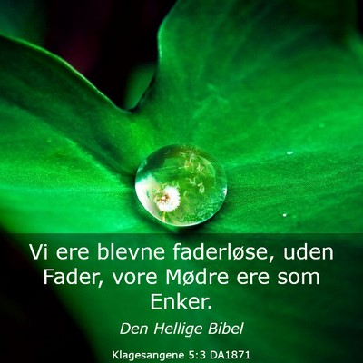 Picture 03 - Klagesangene 5:3 DA1871 - Vi ere blevne faderløse, uden Fader, vore Mødre - Bible Verse Picture