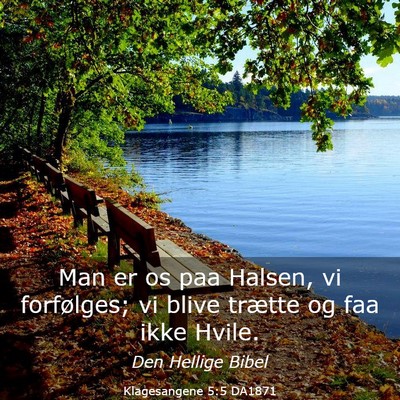 Picture 03 - Klagesangene 5:5 DA1871 - Man er os paa Halsen, vi forfølges; vi blive - Bible Verse Picture