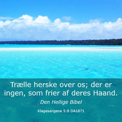 Picture 03 - Klagesangene 5:8 DA1871 - Trælle herske over os; der er ingen, som frier - Bible Verse Picture