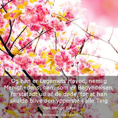 Picture 03 - Kolossenserne 1:18 DA1871 - Og han er Legemets Hoved, nemlig Menighedens, - Bible Verse Picture