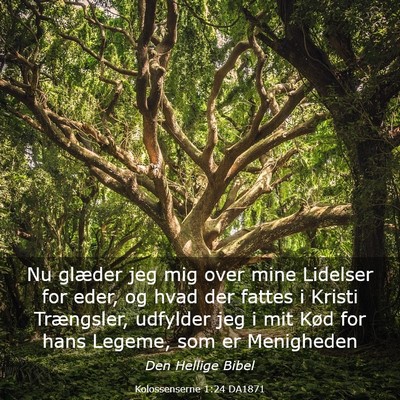 Picture 03 - Kolossenserne 1:24 DA1871 - Nu glæder jeg mig over mine Lidelser for eder, - Bible Verse Picture
