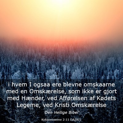 Picture 03 - Kolossenserne 2:11 DA1871 - i hvem I ogsaa ere blevne omskaarne med en - Bible Verse Picture