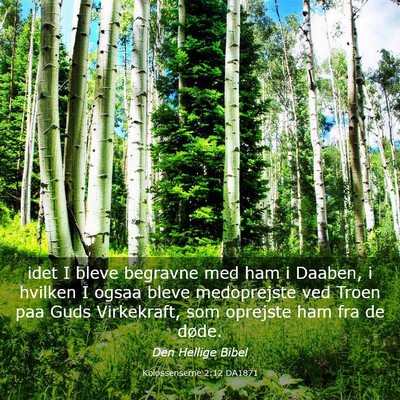 Picture 03 - Kolossenserne 2:12 DA1871 - idet I bleve begravne med ham i Daaben, i hvilken - Bible Verse Picture