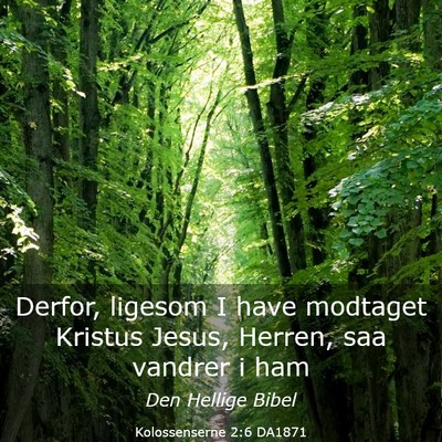 Picture 03 - Kolossenserne 2:6 DA1871 - Derfor, ligesom I have modtaget Kristus Jesus, - Bible Verse Picture