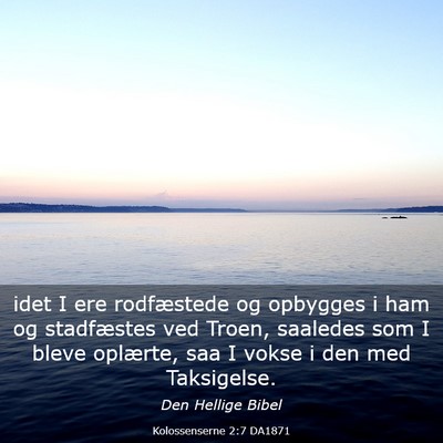 Picture 03 - Kolossenserne 2:7 DA1871 - idet I ere rodfæstede og opbygges i ham og - Bible Verse Picture